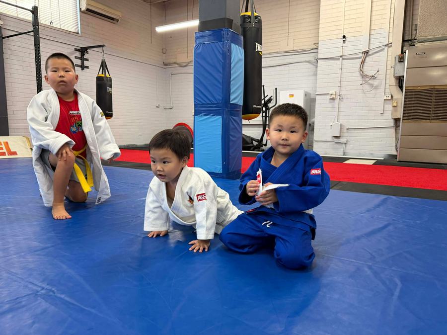Little judo students practising